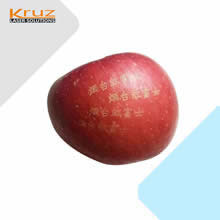 ʳƷ������