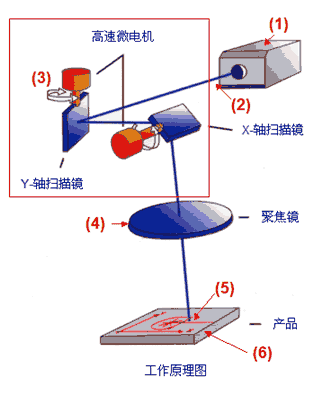 �����꼼������